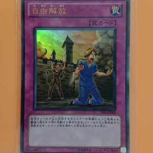 遊戯王 自由解放