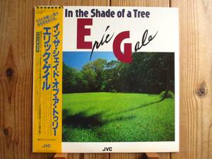 オリジナル / Eric Gale / 黒人ジャズギター四天王 エリックゲイル / In The Shade Of A Tree / JVC / VIJ-28018 / 帯付 / 国内企画