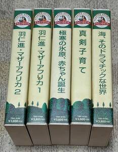 ★☆どうぶつ奇想天外！　全５巻☆★