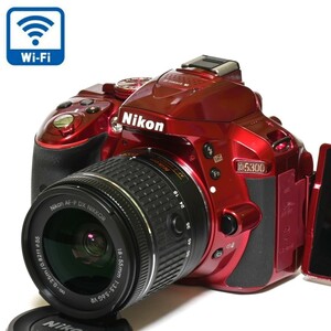 【Nikon】Wi-Fi機能搭載&自撮り★D5300レンズセット