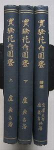 実験花卉園芸　上下2冊・続　全３冊　宮沢文吾/盧貞吉著 大正13年　裳華房　