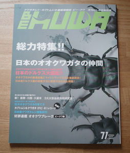 BE-KUWA　ビークワ 71号 　「総力特集!! 日本のオオクワガタの仲間」美品