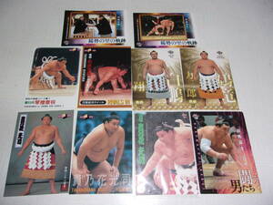 BBM相撲トレーディングカード 横綱カード１０枚セット 貴乃花、稀勢の里 他