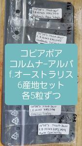 コピアポア　コルムナ-アルバ　f.オーストラリス　6産地セット　種子5粒ずつ