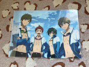 405クリアファイル　映画 ハイ☆スピード!-Free! Starting Days　HS　ホビーストック限定　青空　七瀬遙　橘真琴　桐嶋郁也　旭　