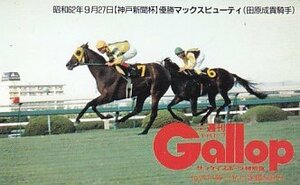 ●Gallop マックスビューティ 田原成貴騎手 神戸新聞杯テレカ