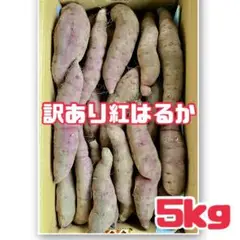 鹿児島県産さつまいも【訳あり紅はるか5kg】