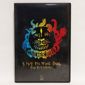 THE BACK HORN / LIVE IN THE SUN [DVD]