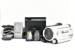 【美品】Sony HDR SR11 ソニー ビデオカメラ EF-TN-JP524