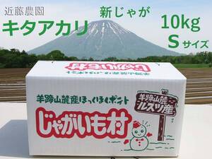 (近藤農園直送) 北海道羊蹄山麓産【きたあかり】正品 Sサイズ 10kg