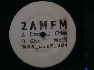 2 AM FM / DESOLATE CITIES ◆U636NO◆10インチ