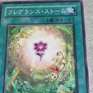 遊戯王 カード 　フレグランスストーム