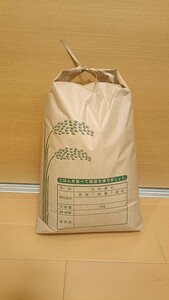 ◆農家直送！◆令和6年度 新米 山口県産 コシヒカリ 玄米10kg◆精米可