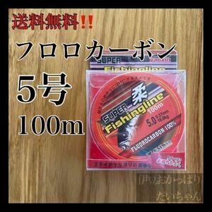 フロロカーボン5号　100メートル　ハリス　ショックリーダー　道糸　釣り糸