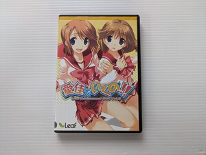 え8331 愛佳でいくの　PCゲーム