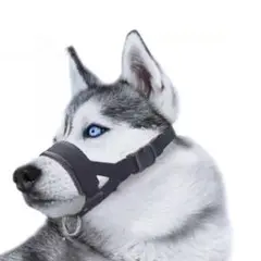 口輪 犬 マスク 犬用マズル 犬のアウターアウトレット サイズ調節可 犬口セット