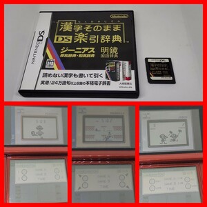 DS/3DS 楽引辞典 G&W マンホール,ジャッジ,フラッグマン,ボール ゲームウォッチ game&watch 任天堂 漢字そのまま楽引辞典 電子辞書 