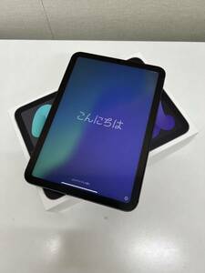  Apple iPad mini 第6世代 256GB MK8F3J/A タブレット 国内版 SIMフリー スペースグレイ グレー Wi-Fi＋Cellular 動作確認 初期化済