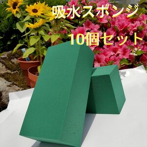 吸水スポンジ 10個セット 生け花 オアシス フラワーアレンジメント