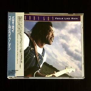 バディ ガイ　「 フィールズ・ライク・レイン 」　Buddy Guy