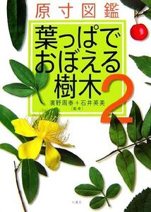 原寸図鑑 葉っぱでおぼえる樹木(2)/濱野周泰,石井英美【監修】