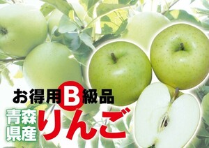 わけあり 否バラ詰め 【B級品・王林・20kg（20キロ）用 木箱 サイズ ダンボール 詰】青森県産 青りんご