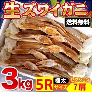 【送料無料】特太５Rサイズ！生ズワイガニ（バルダイ種）３ｋｇ平均7肩入り【かに カニ 蟹 ずわい 】a