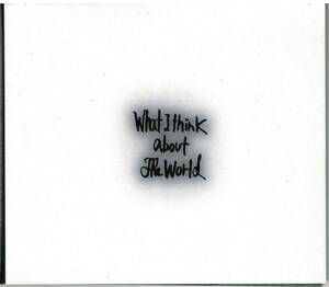 照井利幸「What I think about the world」CD 送料込 BLANKEY JET CITY