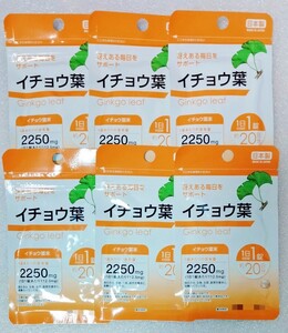 イチョウ葉【合計120日分】6袋 1日1錠 冴えある毎日をサポート 栄養機能食品 日本製 サプリメン