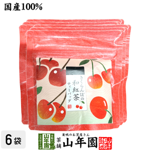 国産紅茶 さくらんぼと和紅茶 2g×5パック×6袋セット