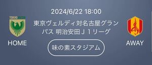 2024/6/22 18:00 キックオフ 東京ヴェルディ対名古屋グランパス 味の素スタジアム バックBホーム　１名様