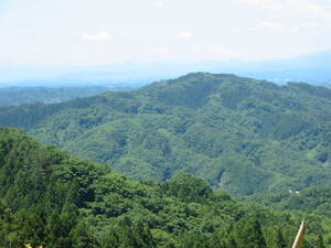 国産稀元素鉱物 フェルグソン石（Fergusonite）：福島県伊達郡川俣町水晶山 苗木産業（株) 採石場 ●5㎜～3㎝程の小粒275ｇ