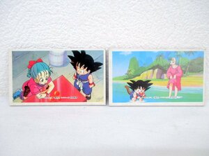 その3 当時物 90年代 初期 ドラゴンボール メンコ 面子 めんこ 孫悟空 ブルマ 鳥山明 少年ジャンプ 昭和 レトロ ビンテージ レア