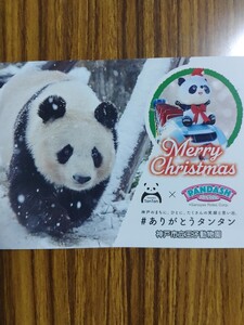 【限定200枚】貴重 タンタン ポストカード THANKS Tantan ×パンダッシュ クリスマスVer / 王子動物園 / シャンシャン　リーリー シンシン