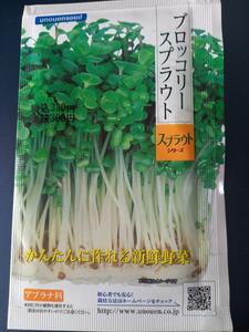 未開封＜野菜の種＞ブロッコリースプラウト　ヘルシー野菜　15ｍｌ