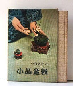 【中古】 小品盆栽 (1968年)