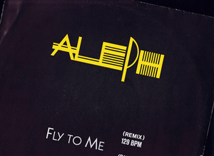 HI-NRG 12inch★ALEPH / Fly to me (remix Dub version)★picture sleeve・ドイツ盤・ZYX★