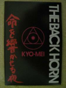 the back horn非売品ステッカー２００７