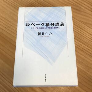 ルベーグ積分講義　新井仁之　日本評論社　中古　送料無料