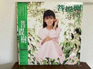 南野陽子　サントラ　菩提樹 リンデンバウム 帯付 LP レコード 和モノ 神田正輝 天使のアーチェリー 1988年盤 YOKO MINAMINO BODAIJYU