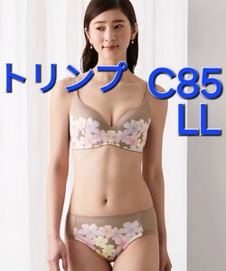 1,500円スタート　●1-18　新品　C85　LL　トリンプ　ブラジャー＆ショーツセット　ワイヤー入りのようなシルエットに　脇高仕様