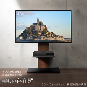 【新品未開封・送料込】 NAKAMURA ナカムラ EQUALS イコールズ 壁寄せテレビスタンド WALL V2 ロータイプ ウォールナット 2020年モデル