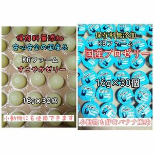 国産ゼリー KBファーム すこやかゼリー 16g 30個 プロゼリー 16g 30個 カブトムシ クワガタ 昆虫