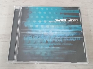 WANDS CD AWAKE