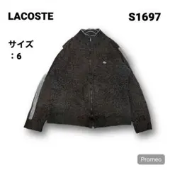 【即購入OK】LACOSTE レオパード ドライバーズニット サイズ6 ブラック