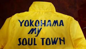 プロハンター YOKOHAMA MY SOUL TOWN 水原 後期型 ライト ブルゾン Dタイプ 藤竜也 ベイシティ刑事 大追跡 横浜 HONMOKU GANG 本牧 石黒成