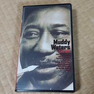 MUDDY WATERS マディウォーターズ　/ LIVE 1971 日本盤ビデオテープ　P-VINE 