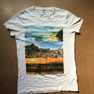 HOLLISTER ホリスター イラストTシャツ プリント　荒野 サーフィン 海岸