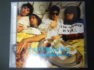 FASTBACKS / the question is no CD オルタナ パワーポップ ガールズパンク pop punk young fresh fellows muffs posies marshall artist