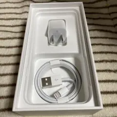 iPhone純正イヤホン付属品　充電器セット①